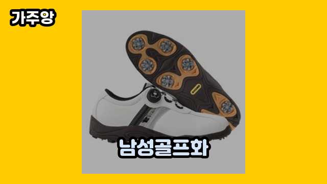 남성골프화 가격대 33,000원 ~ 139,800원 추천 BEST 16