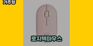 큐레이터 가주앙의 보물창고 • 13325 • 2024년 11월 27일 47