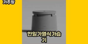 큐레이터 가주앙의 보물창고 • 817 • 2024년 11월 16일 1