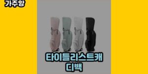 큐레이터 가주앙의 보물창고 • 15494 • 2024년 11월 18일 78