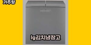 큐레이터 가주앙의 보물창고 • 11102 • 2024년 11월 15일 21