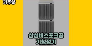 큐레이터 가주앙의 보물창고 • 3510 • 2024년 11월 27일 15