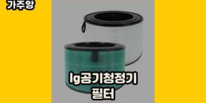 큐레이터 가주앙의 보물창고 • 14224 • 2024년 11월 16일 26