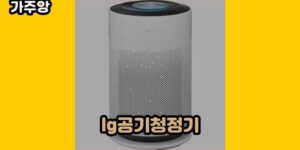 큐레이터 가주앙의 보물창고 • 14860 • 2024년 11월 26일 122