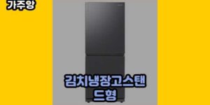 큐레이터 가주앙의 보물창고 • 17021 • 2024년 12월 04일 29