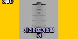 큐레이터 가주앙의 보물창고 • 7264 • 2024년 11월 15일 26