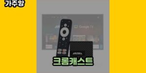 큐레이터 가주앙의 보물창고 • 4046 • 2024년 09월 21일 1