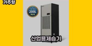 큐레이터 가주앙의 보물창고 • 16863 • 2024년 11월 13일 64