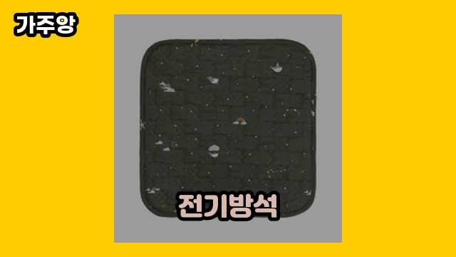  전기방석, 전기방석 2인용, 전기방석 3인용, 자동차 전기방석 외 가격 상품 후기 및 추천