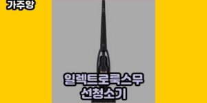 큐레이터 가주앙의 보물창고 • 7382 • 2024년 11월 17일 35