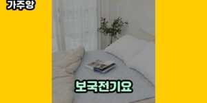 큐레이터 가주앙의 보물창고 • 7896 • 2024년 11월 15일 26