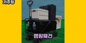 큐레이터 가주앙의 보물창고 • 13399 • 2024년 11월 15일 61