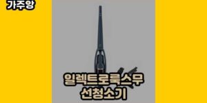 큐레이터 가주앙의 보물창고 • 7382 • 2024년 11월 17일 22