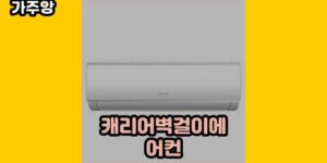 큐레이터 가주앙의 보물창고 • 16040 • 2024년 11월 17일 48