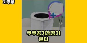 큐레이터 가주앙의 보물창고 • 15829 • 2024년 11월 17일 27