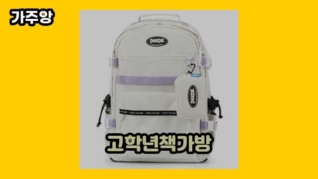 고학년책가방 가격대 16,900원 ~ 92,900원 추천 탑 15