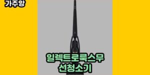 큐레이터 가주앙의 보물창고 • 7382 • 2024년 11월 17일 1