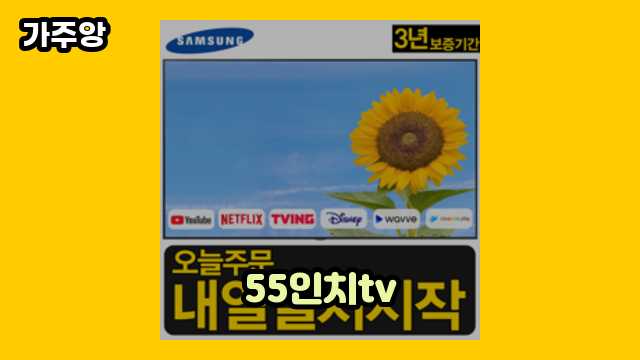  55인치tv 외 가격 정보 후기 및 추천