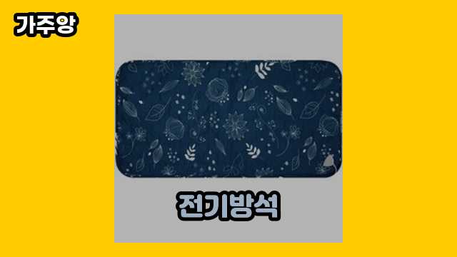  전기방석 외 후기 및 추천 정리 특가