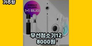 큐레이터 가주앙의 보물창고 • 8460 • 2024년 11월 17일 1