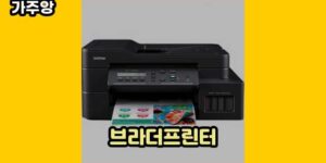 큐레이터 가주앙의 보물창고 • 9024 • 2024년 11월 15일 19