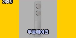 큐레이터 가주앙의 보물창고 • 13649 • 2024년 11월 16일 33