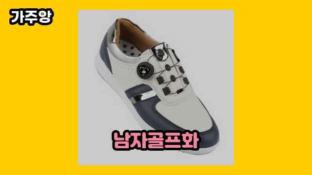 남자골프화 가격대 63,000원 ~ 140,000원 추천 베스트 5