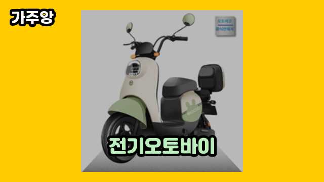 전기오토바이 가격대 449,000원 ~ 1,732,400원 추천 베스트 17