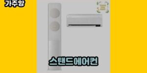 큐레이터 가주앙의 보물창고 • 9800 • 2024년 11월 15일 1