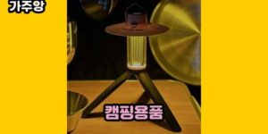 큐레이터 가주앙의 보물창고 • 12586 • 2024년 11월 26일 14