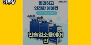 큐레이터 가주앙의 보물창고 • 10298 • 2024년 11월 15일 1