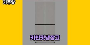 큐레이터 가주앙의 보물창고 • 10636 • 2024년 11월 15일 1