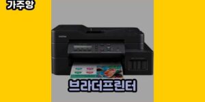 큐레이터 가주앙의 보물창고 • 9024 • 2024년 11월 15일 1