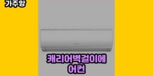 큐레이터 가주앙의 보물창고 • 16040 • 2024년 11월 17일 30