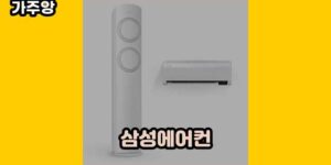 큐레이터 가주앙의 보물창고 • 13666 • 2024년 11월 16일 17