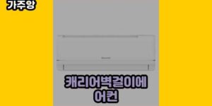 큐레이터 가주앙의 보물창고 • 16040 • 2024년 11월 17일 13