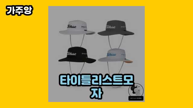 타이틀리스트모자 가격대 11,900원 ~ 100,000원 추천 TOP 16