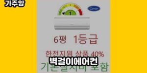 큐레이터 가주앙의 보물창고 • 12974 • 2024년 11월 15일 1