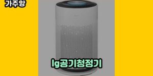 큐레이터 가주앙의 보물창고 • 14860 • 2024년 11월 26일 25