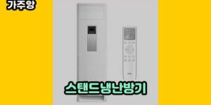 큐레이터 가주앙의 보물창고 • 13594 • 2024년 11월 15일 1