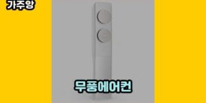 큐레이터 가주앙의 보물창고 • 13649 • 2024년 11월 16일 1