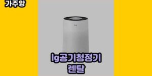 큐레이터 가주앙의 보물창고 • 13725 • 2024년 11월 15일 1