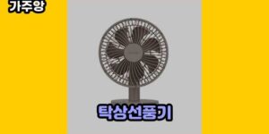 큐레이터 가주앙의 보물창고 • 14287 • 2024년 11월 15일 1