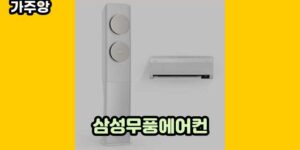 큐레이터 가주앙의 보물창고 • 14315 • 2024년 11월 15일 1