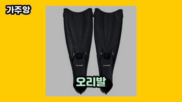  오리발 외 추천 정리 비교