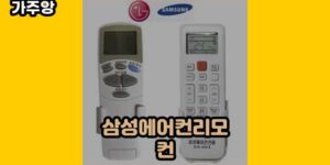 큐레이터 가주앙의 보물창고 • 16254 • 2024년 11월 15일 16