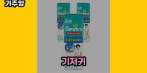 큐레이터 가주앙의 보물창고 • 14521 • 2024년 11월 16일 1