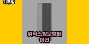 큐레이터 가주앙의 보물창고 • 14558 • 2024년 11월 15일 1