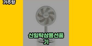 큐레이터 가주앙의 보물창고 • 14710 • 2024년 11월 15일 1