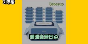 큐레이터 가주앙의 보물창고 • 16533 • 2024년 11월 15일 30